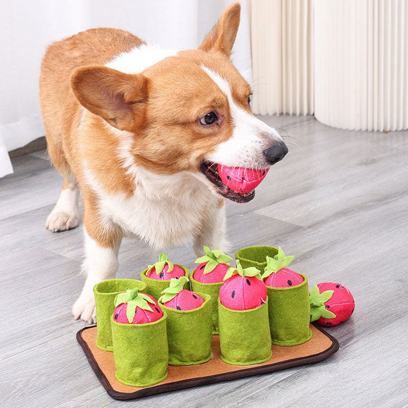 new pattern Korean version drawing Carrot Toys poodle Dog Puzzle Tibetan food Slow food Food leakage sniff  Vocalization Pet Supplies & Pet